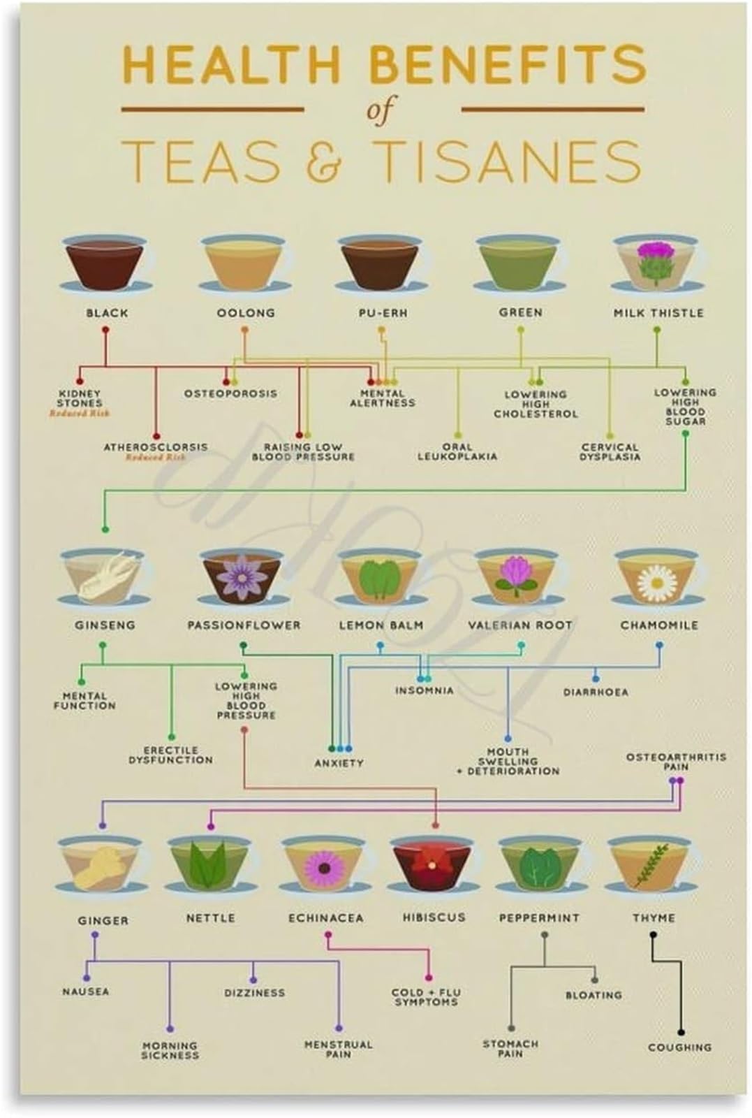 UYCUODLUY Tea Knowledge Chart Poster Types Guide Health Benefits Canvas Wall-Art Brewing