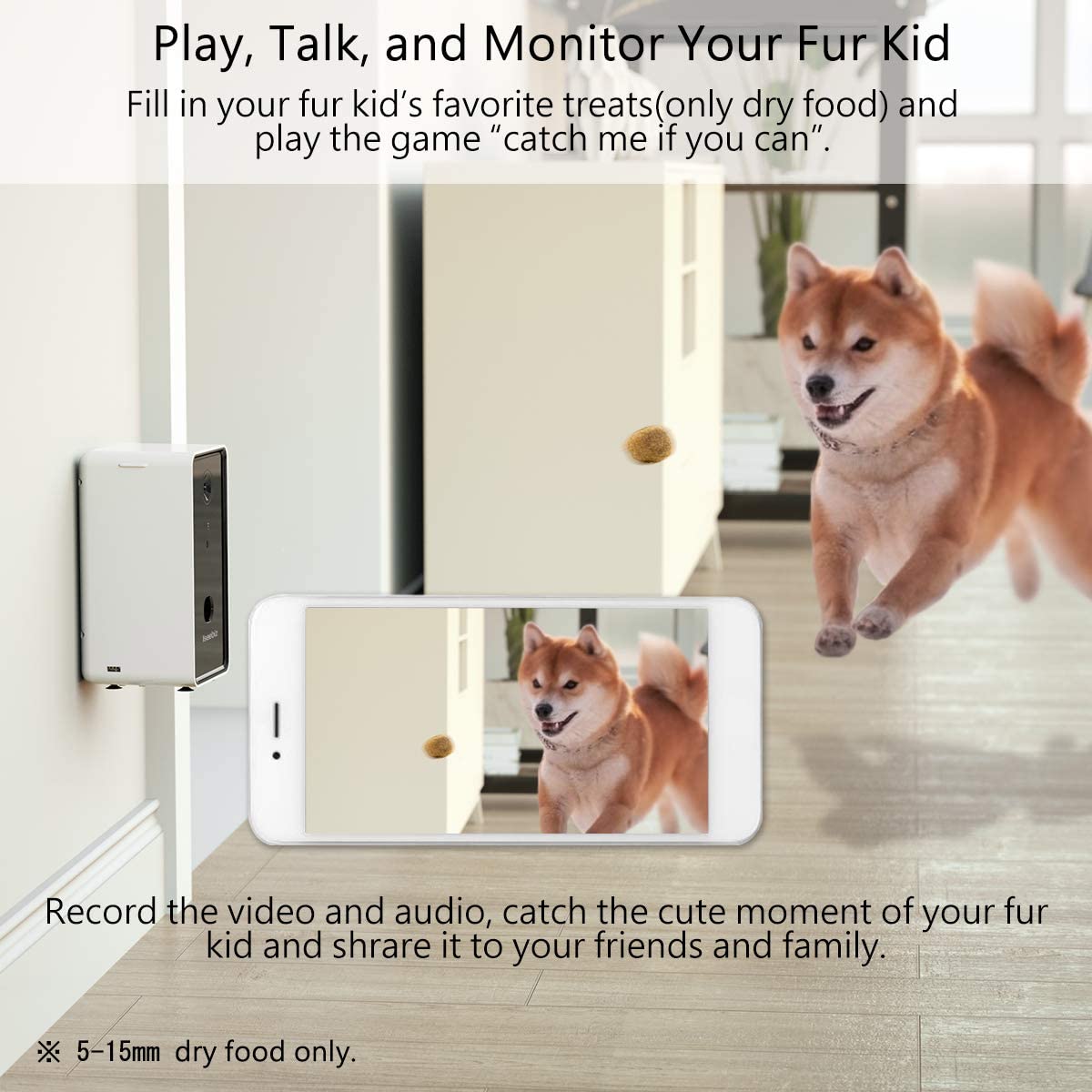 Watch Iseebiz Pet Camera with Treat Dispenser, Great Purchase! on