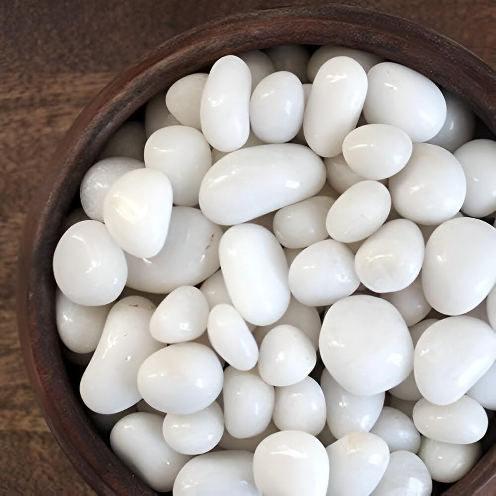 Go Garden Polished White Pebbles Glossy Stones - 2Kg (2.5cm - 4cm) | Premium Decorative Stones for Vase Fillers, Aquarium, Terrarium, Garden, Home Décor & Landscaping-picture-17