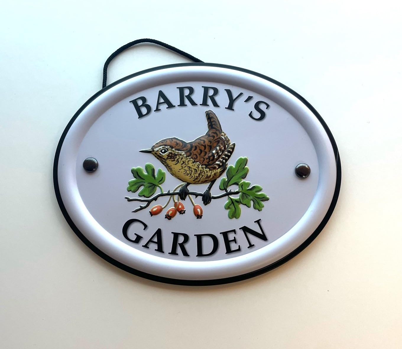 Personalised Embossed Metal Garden Sign 12x15cm – British Bird Design – Outdoor Decorative Hanging Garden Plaque – Weatherproof Metal Sign for Garden Walls Fences or Sheds (Barry) — image 1