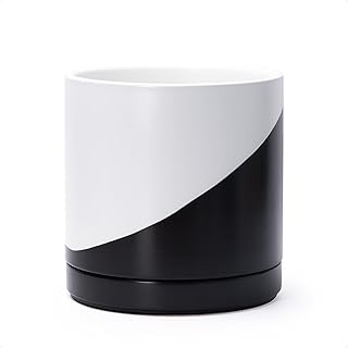 D'vine Dev 8.2 Inch Ceramic Planter Pot with Drainage Hole and Saucer, I...