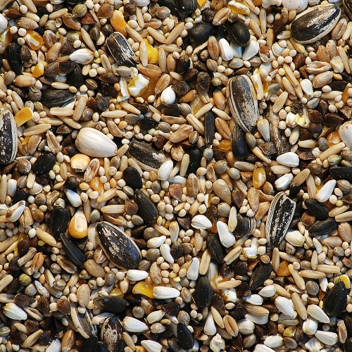 Bucktons Buckton Parakeet Large 20kg