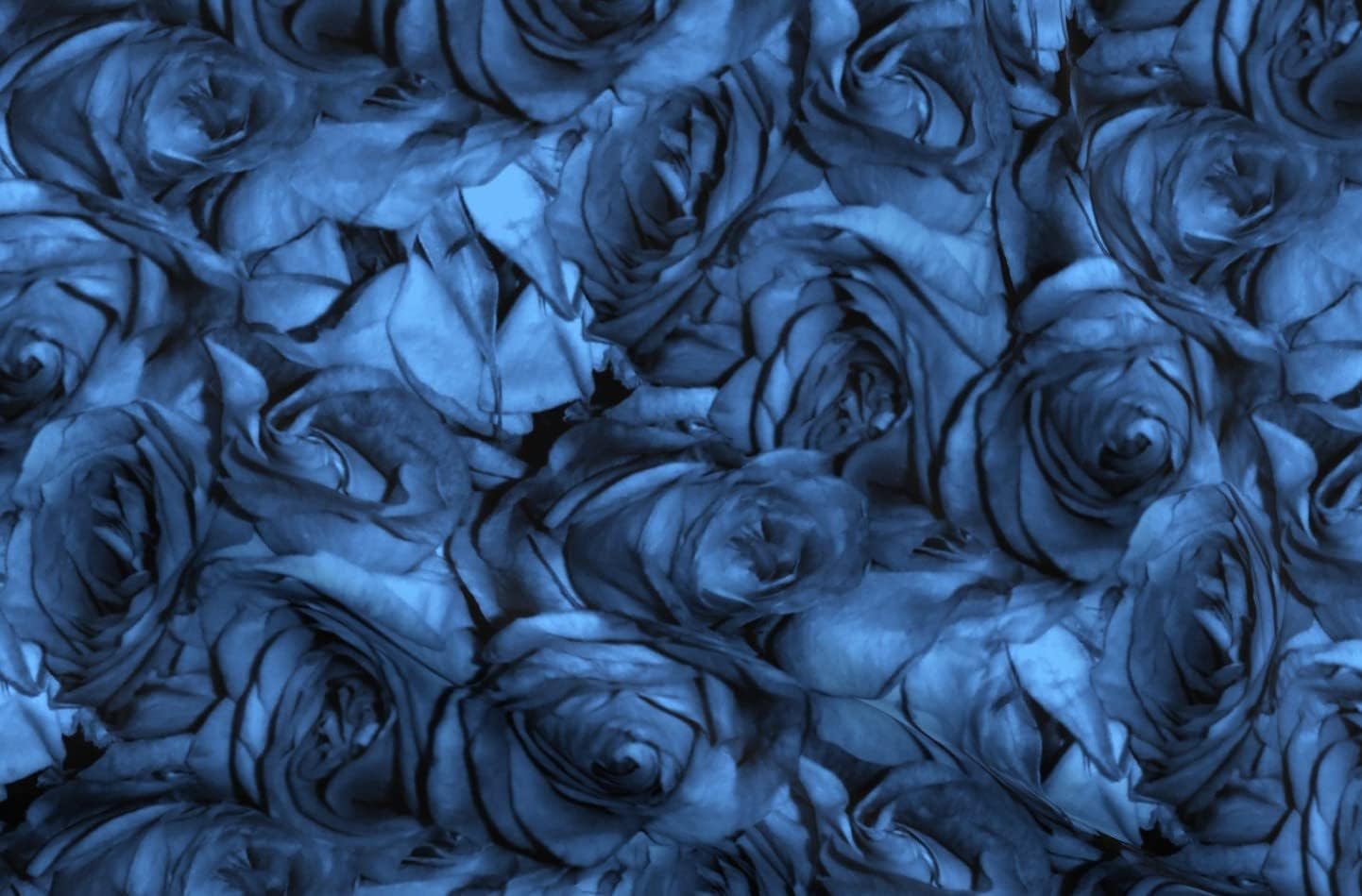 Spoonflower Fabric - Blue Roses Red Lady Rose Flowers Romantic Victorian Cobalt Nature Printed on Organic Cotton Sateen Fabric by The Yard - Sewing Quilting Apparel Home Decor