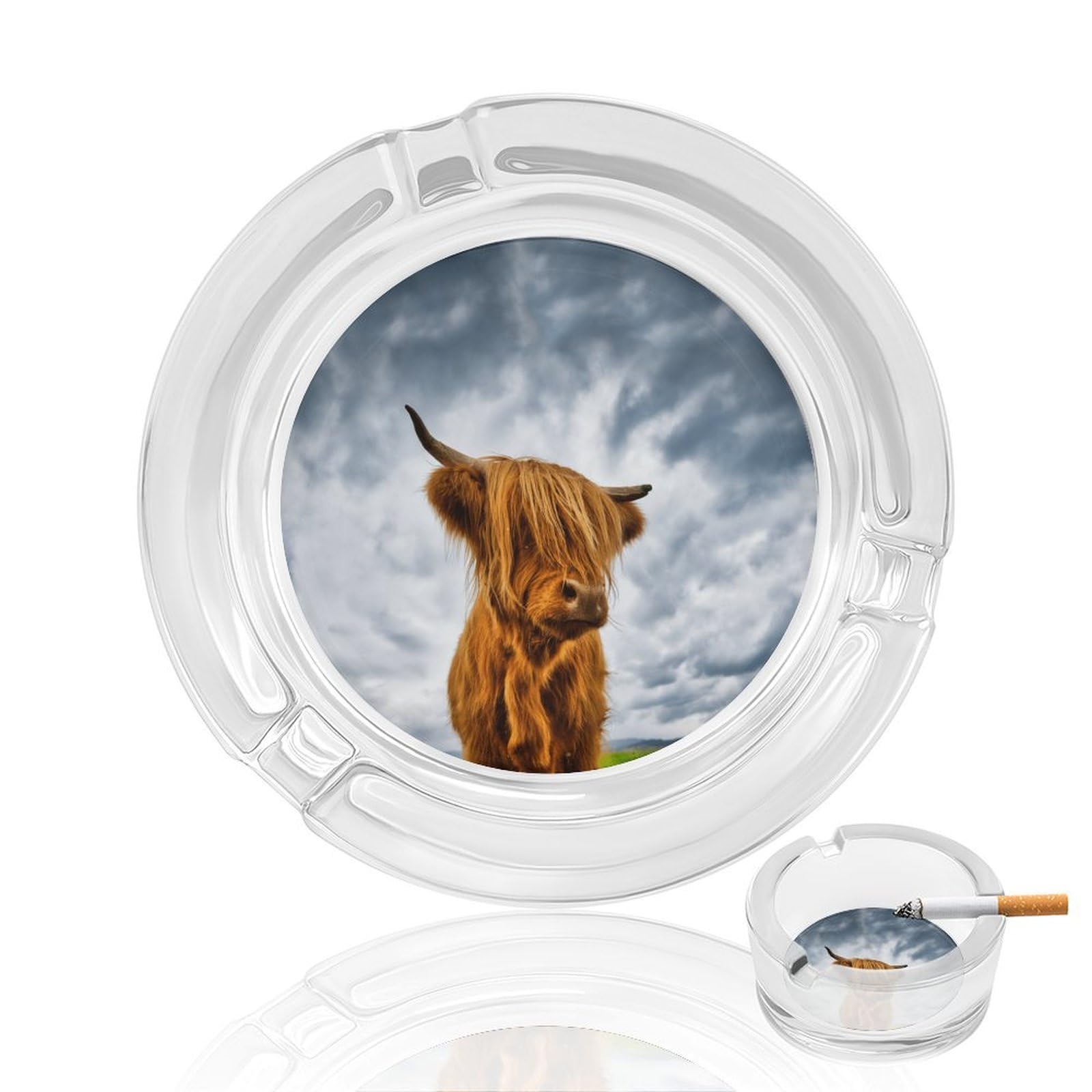 Highland Cow in The Scottish Highlands Ashtray Portable Round Glass Outdoor Ash Tray for Home Office Garden Pub