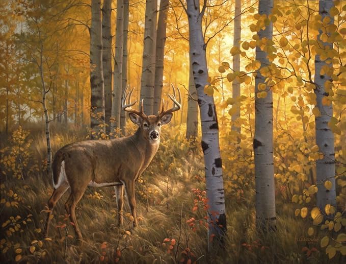 McGaw Graphics Whitetail in Aspens by Greg Alexander, Art Print Poster 18" x 24"