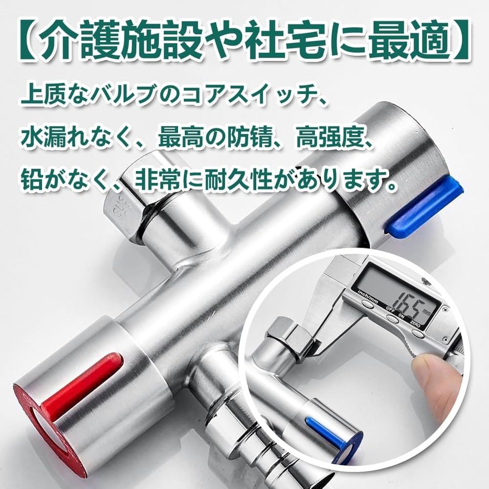 Fleishman 分岐　２点 Fleishman 分岐 2点 Fleishman 分岐 2点 Fleishman 分岐 2点