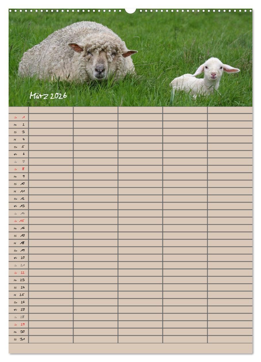 Der belämmerte Familienplaner (hochwertiger Premium Wandkalender 2026 DIN A2 hoch), Kunstdruck in Hochglanz
