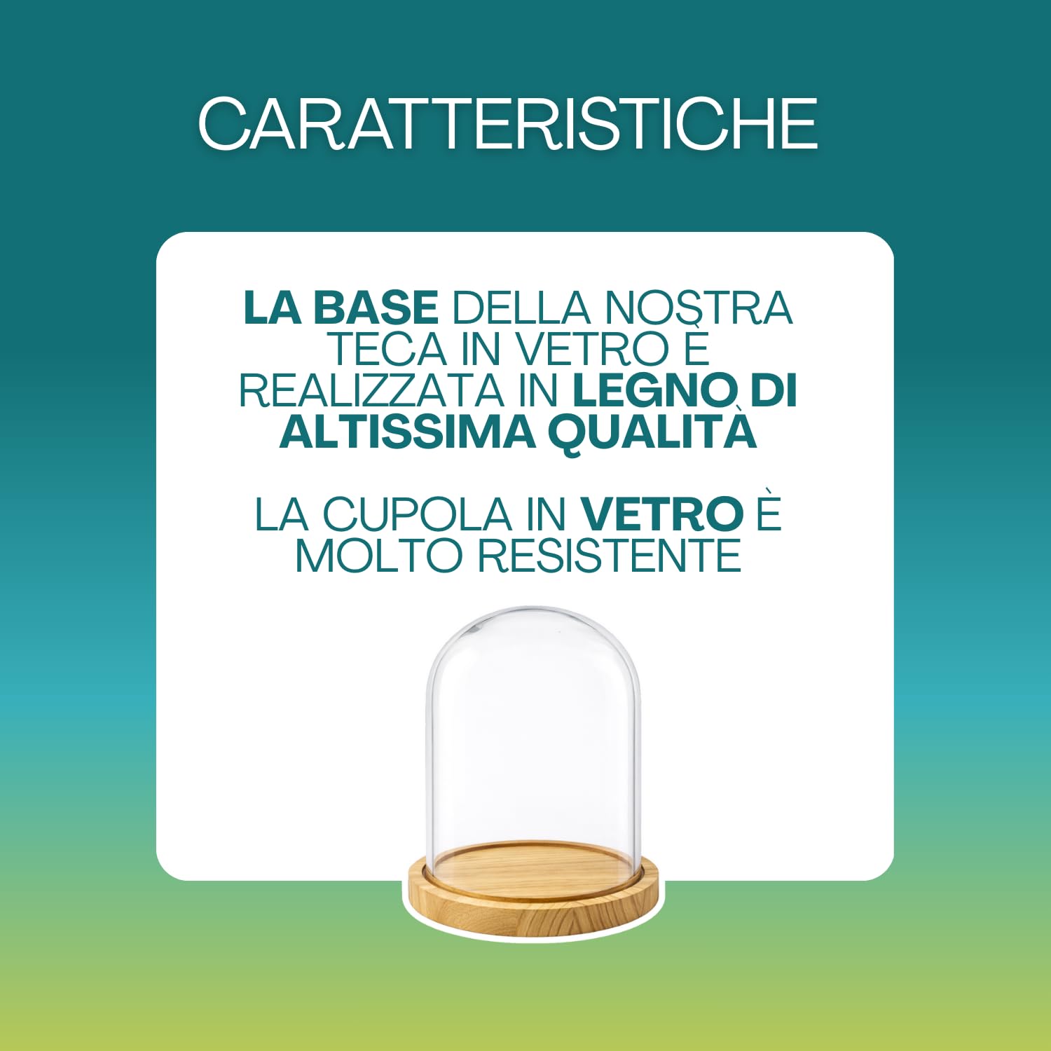 PALUPLUS Campana in Vetro con Base in Legno, Teca in Vetro Trasparente, Espositore per oggetti, composizioni floreali e luci, oggetto decorativo per la tua casa -953M -2,1 (17x25 cm)