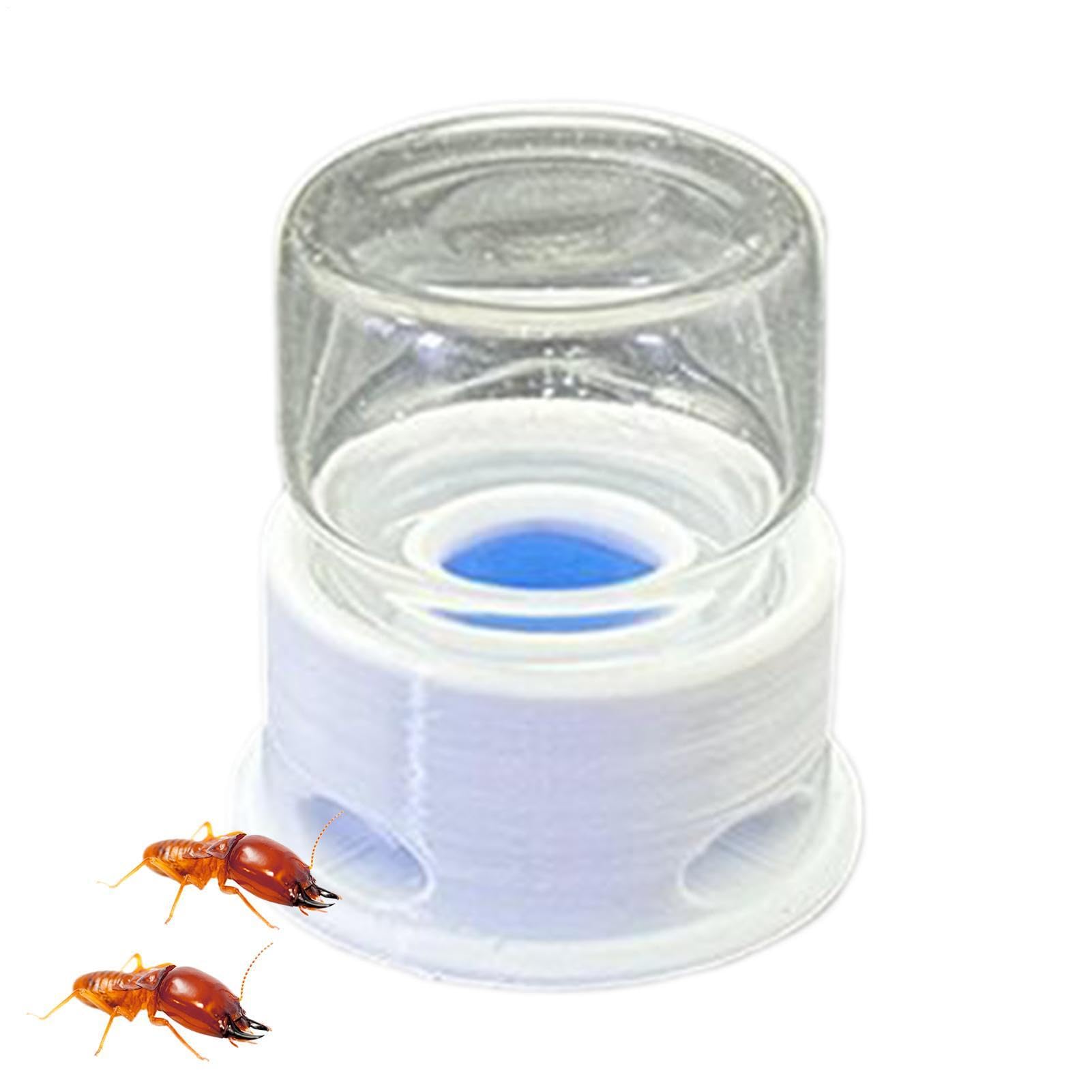 Mangiatoia per formiche, stazione d'acqua, dispenser trasparente per insetti contro l'annegamento, dispenser di acqua sicuro per formiche, durevole, per interni ed esterni, pratica