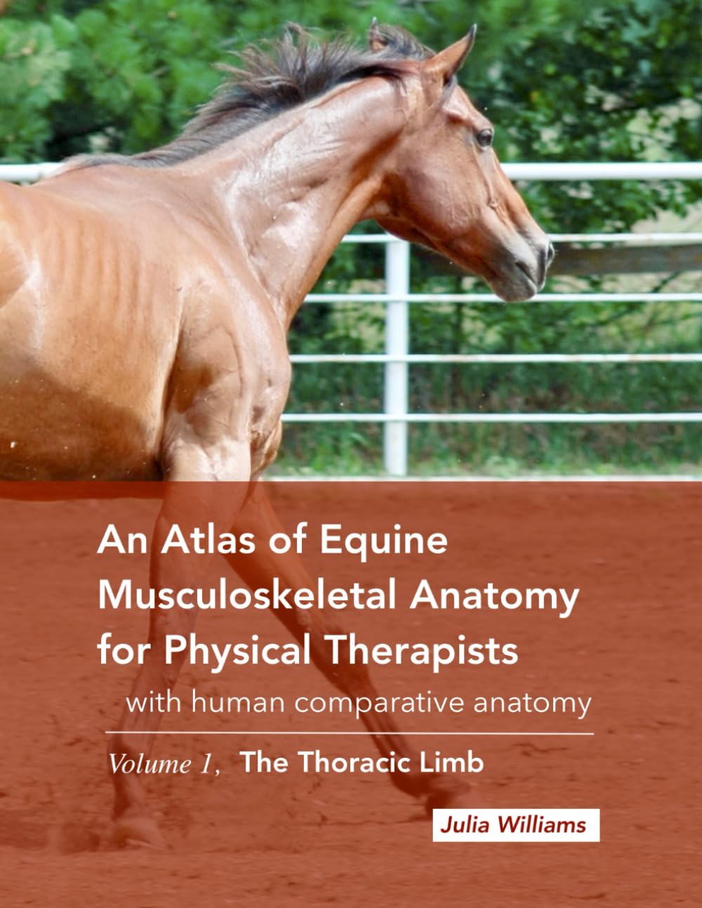 An Atlas of Equine Musculoskeletal Anatomy for Physical Therapists: with comparative human anatomy, Volume 1: The Thoracic Limb: With Human Comparative Anatomy