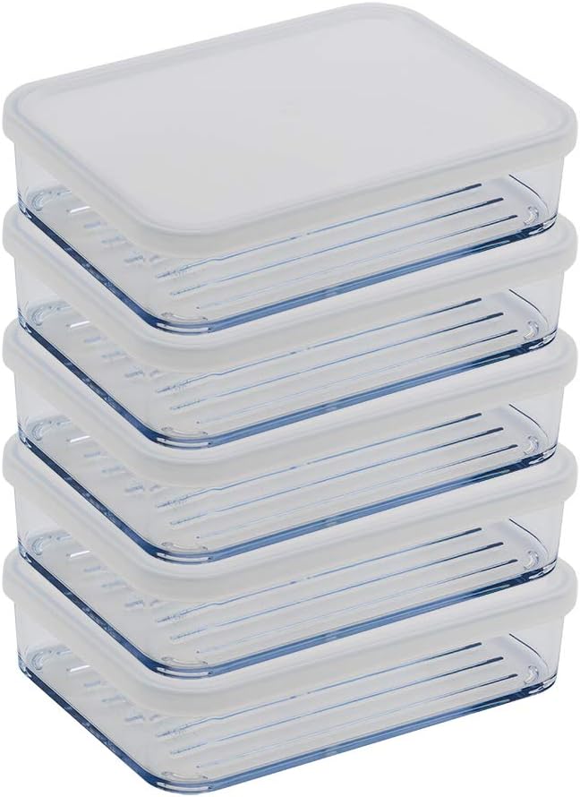 HAIM LIVING Silicook Flat Plastic Box for Kitchen for Kitchen&Refrigerator Organization, Transparent Food Storage Container for Kitchen, Fridge, Freezer (5 x 600ml)