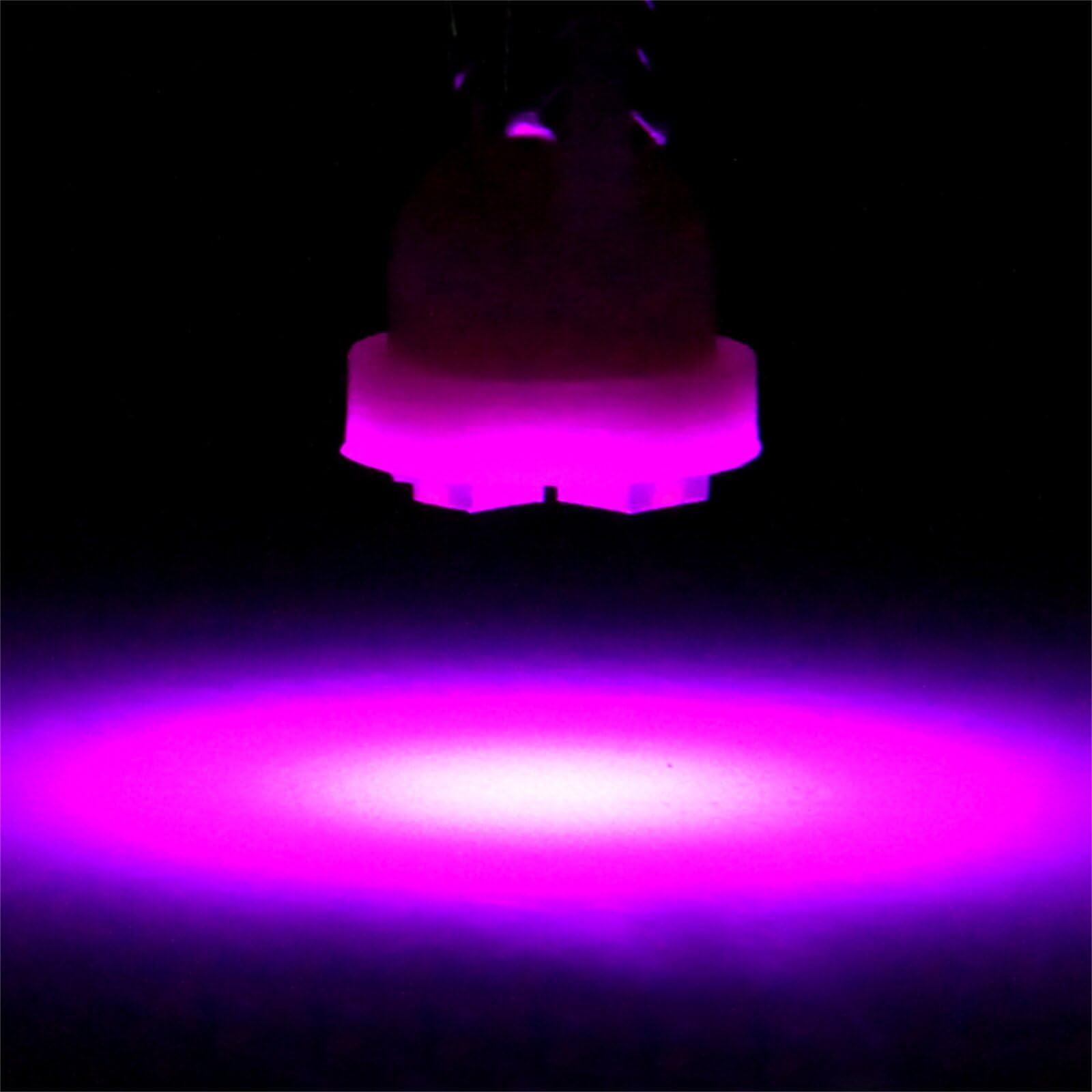 ECCPP 5x Instrument Cluster Dash Panel Lights T10 4-3528-SMD-Purple W5W 147 152 158 159 161 168 184 192 193 259 280 285 447 464 501 555 558 585 655 656 657 1250 1251 1252 2450 2652 2921 2825 PC 175