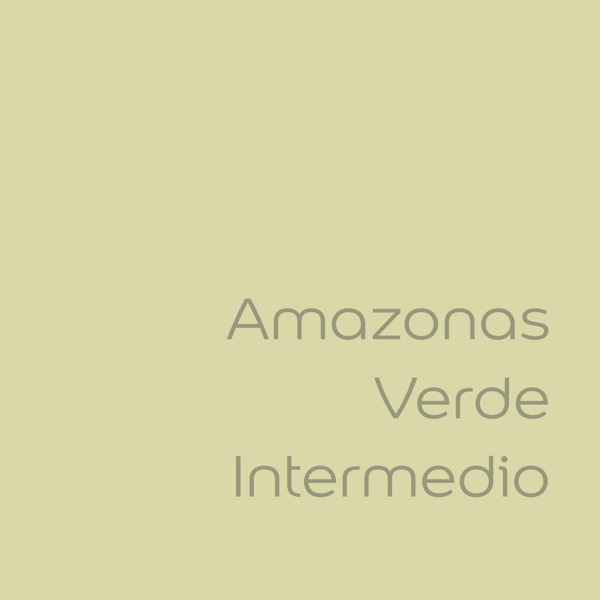Bruguer Colores del Mundo Pintura para paredes monocapa Amazonas Verde Intermedio 4 L