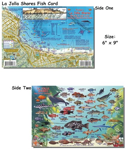 Franko's Laminated California Fish Id Cards 6" X9" All Options, Channel Islands, Catalina, Monterey, Many More, Authorized Dealer, Scuba Dive Fish, Fish Identification, Fish Id Card, Fish Cards , Channel Islands #TOP6
