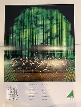 Amazon.co.jp: 欅坂46 ラストライブ ポスター，チケット，写真