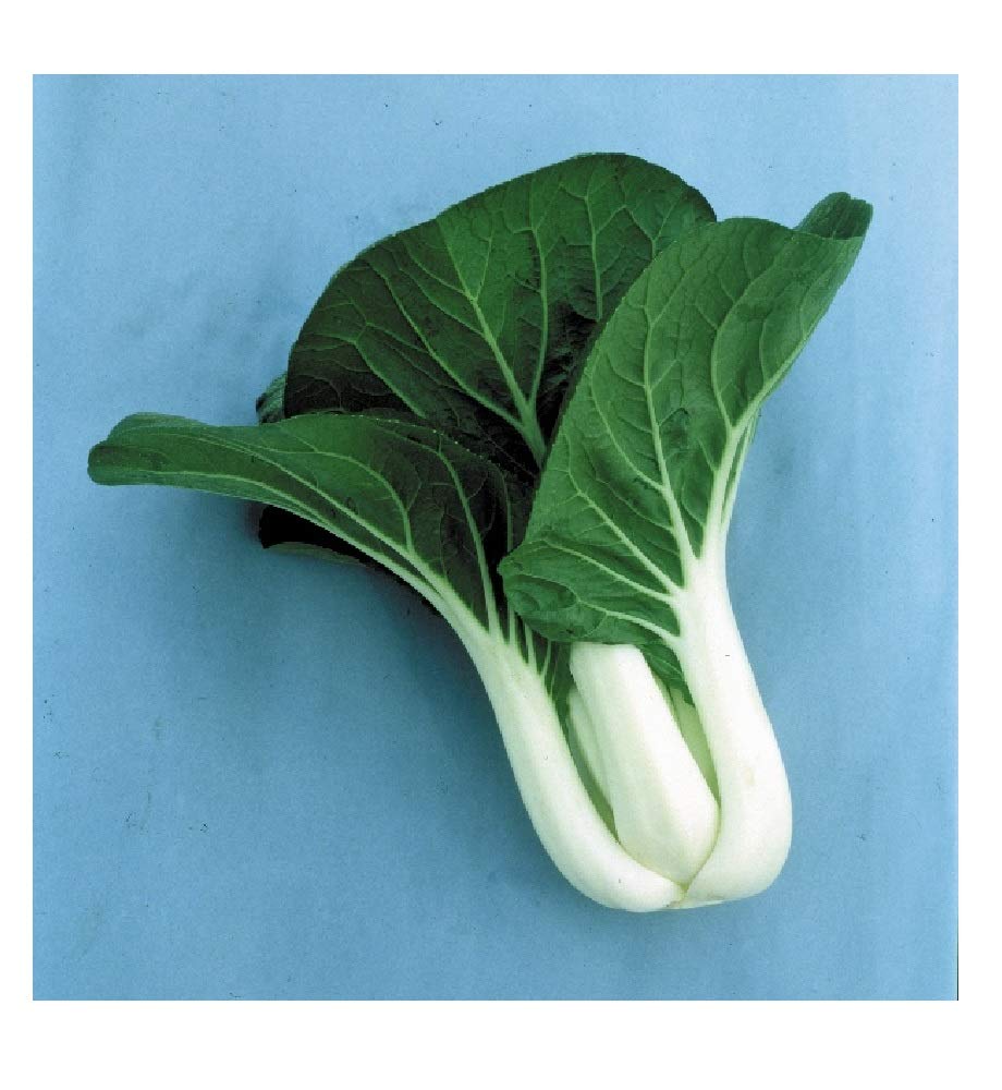 Suffolk Herbs - Oriental Vegetables - Pak Choi, Joi Choi F1 Seeds