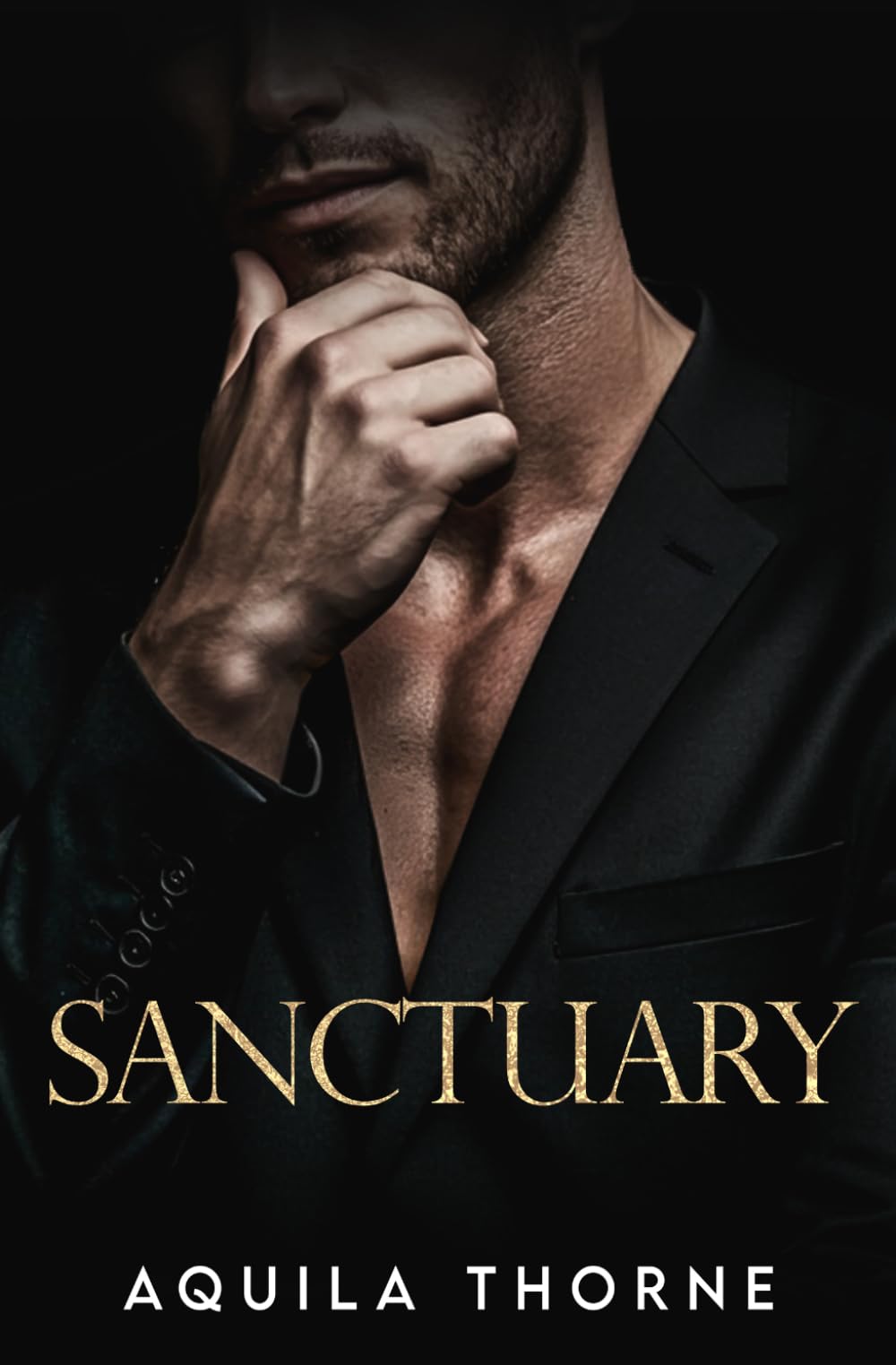 Sanctuary: An Irish mafia, fake marriage romance (CHANGING OF THE GUARDS)