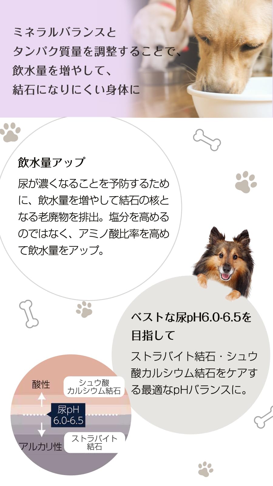 Amazon.co.jp: ナチュラルハーベスト 療法食 セラピューティック