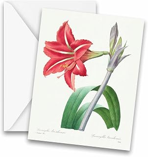Vintage Botanical Brazilian Amaryllis Greeting Cards - Set of 10, Stationery, Notecards, thank you cards, note cards, blank notecard, greeting card set
