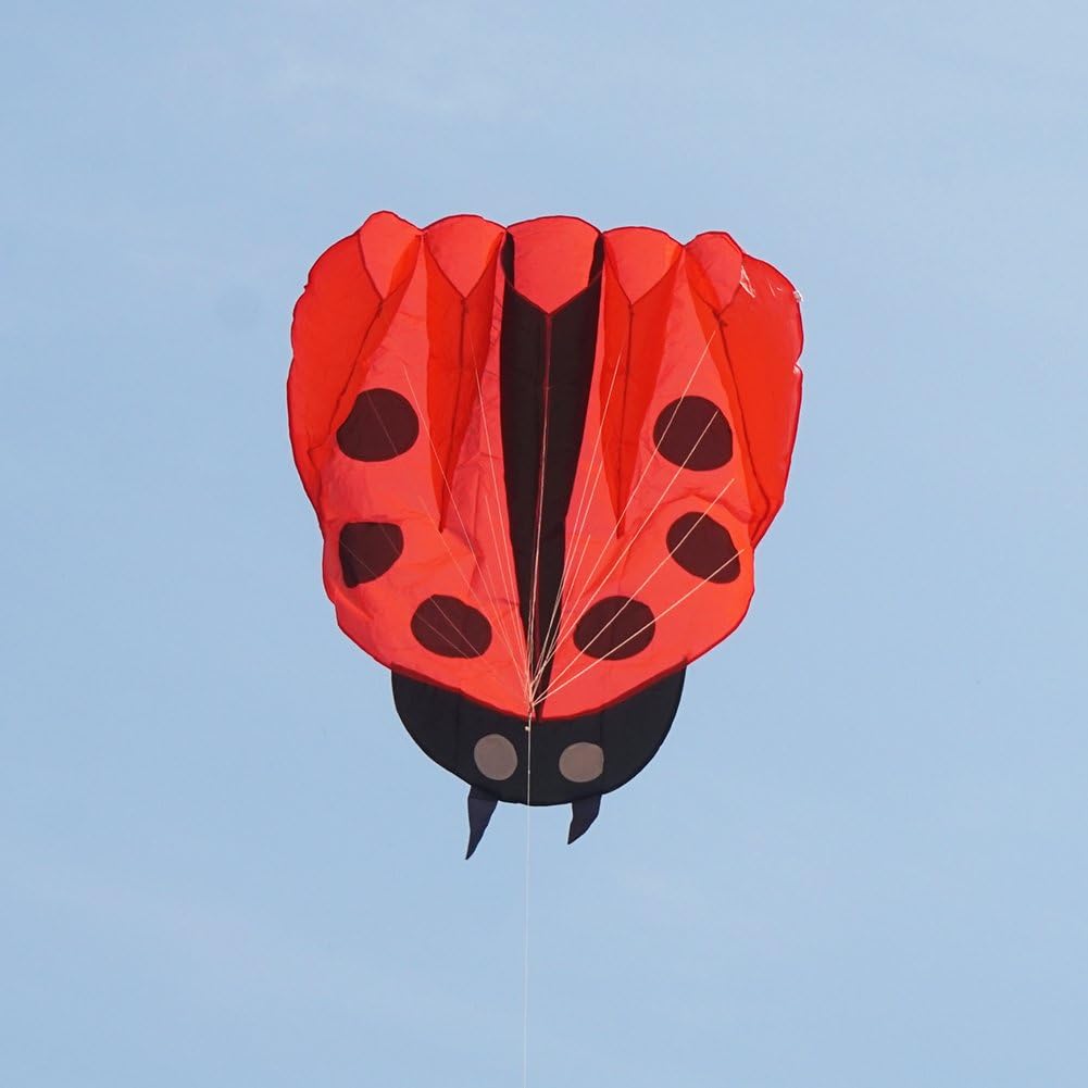 Besra Colorful Ladybug Kite with Handle & Strings Ladybird Parafoil Kite Easy to Fly Outdoor Fun Sports