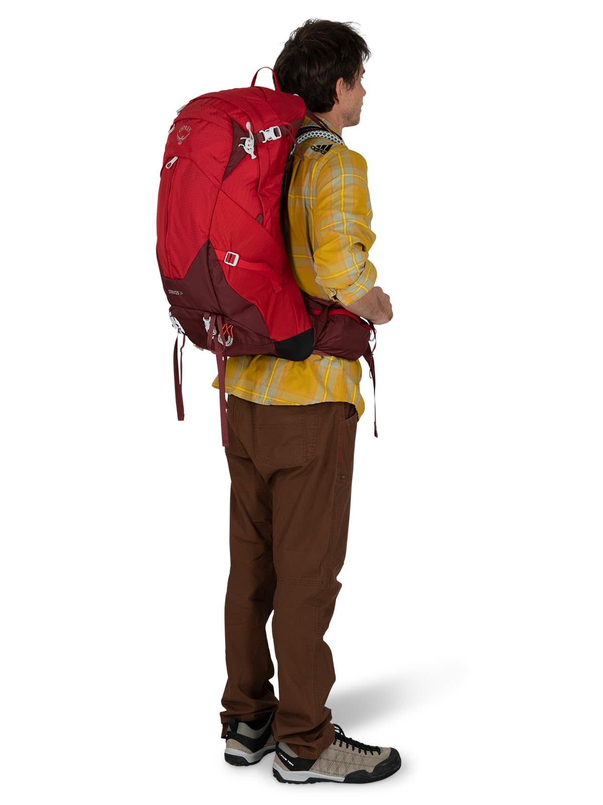 Amazon.co.jp: [オスプレー] バックパック リュックサック 34L 