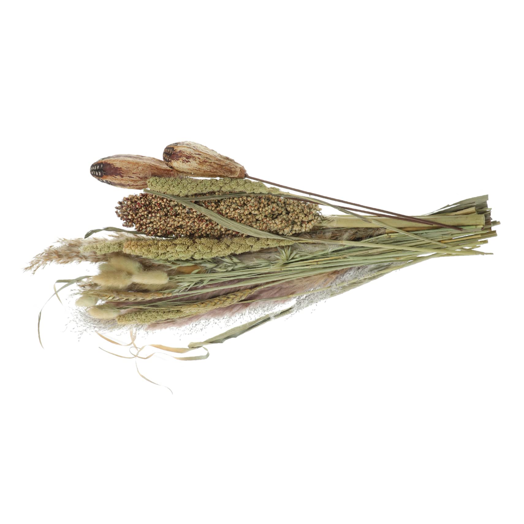 ULTECHNOVO 2stücke Deko-pflanzenstrauß Getrockneten Pampas Und Naturbelassenen Pflanzen Für Boho-Dekoration Hochzeiten Und Kreative Arrangements Bundle