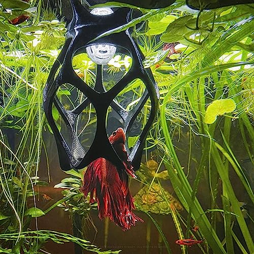 Image of Betta Play Ground | Floating Hammock and Hiding Cave for Betta, Fish, Shrimp with Feeding Station - Swim-Through Aquarium Ornament and Tank Decoration (Baby Blue, Regular)