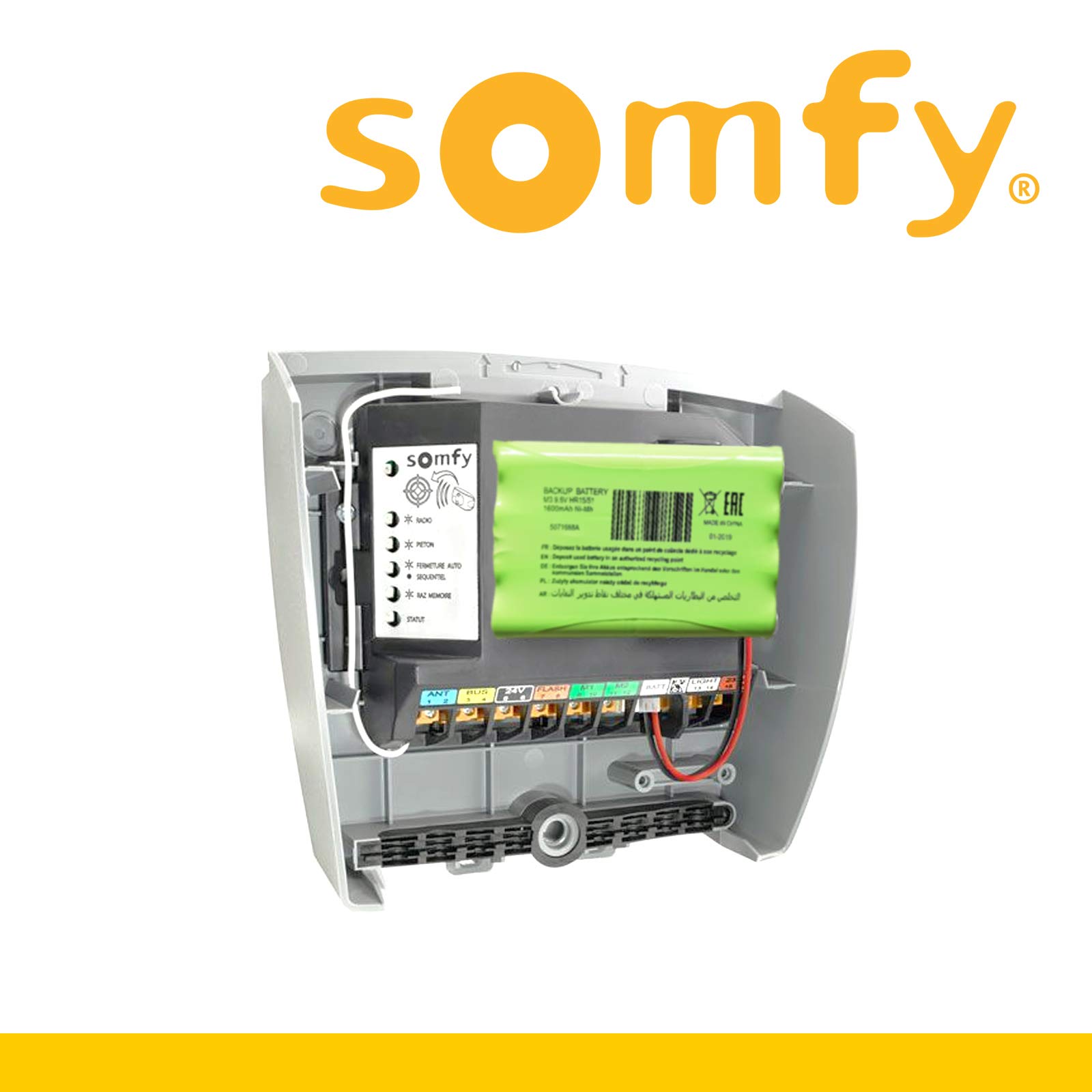 Somfy 9001001 – Batterie de Secours professionnellle pour Moteurs de Portail et/ou Porte de Garage - Compatible Moteurs Axovia, Ixengo, Elixo, Roly et Dexxo