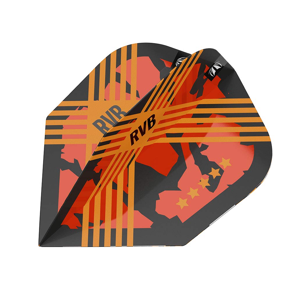 Target Raymond van Barneveld RvB GEN 4 SP 95 fléchettes souples 18/20 grammes Softdarts | 21