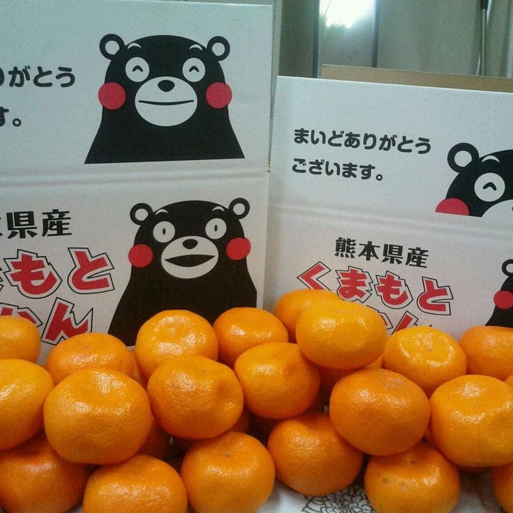 すーさん専用、箱込み10キロ、訳あり すーさん専用、箱込み10キロ、訳あり
