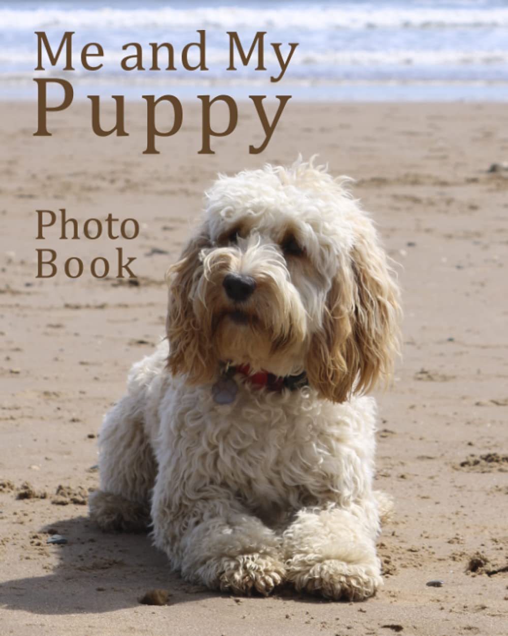 Is A Cockapoo A Good First Dog
