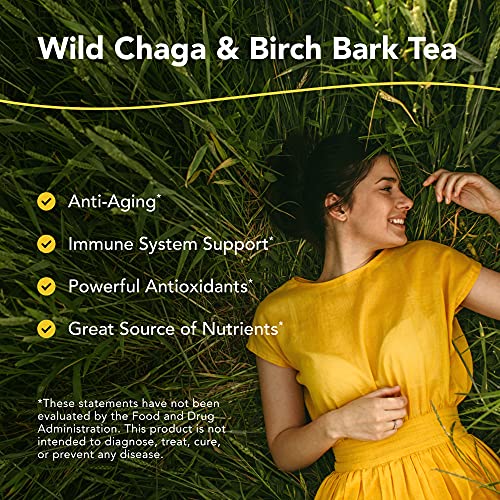North American Herb & Spice Chaga Dunkers - 12 Count - Chaga Wild Mushroom Herbal Tea - Adaptogen, Adrenal Support, Endurance & Stamina - Whole Food Herbs, Wild Honey - Non-Gmo - 16 Total Servings #TOP1