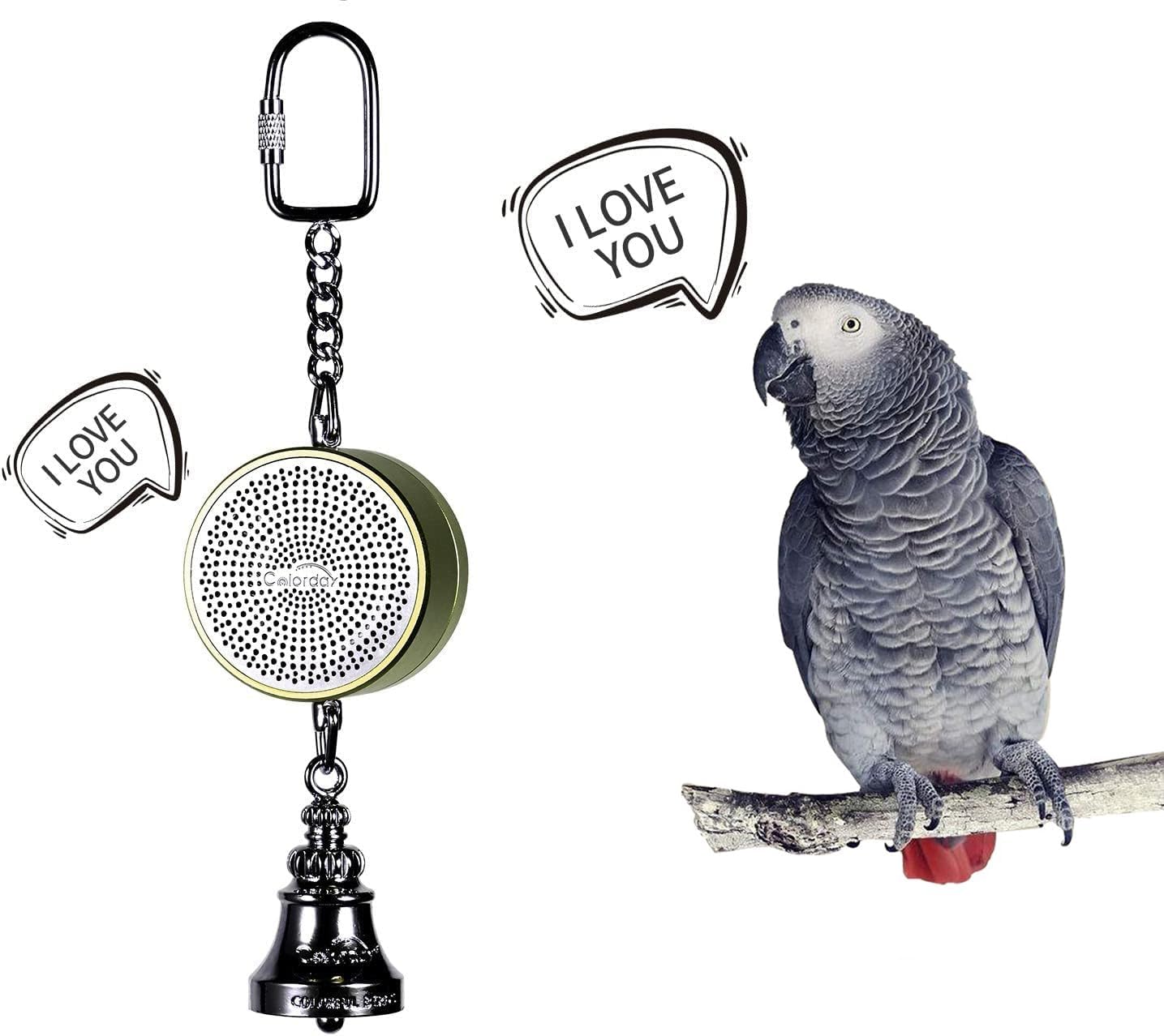 Colorday Bird Toys Parrot Talking Coach & Interactive Voice Bell Toy (Patent Pending, Latest Upgraded Version) (Green)