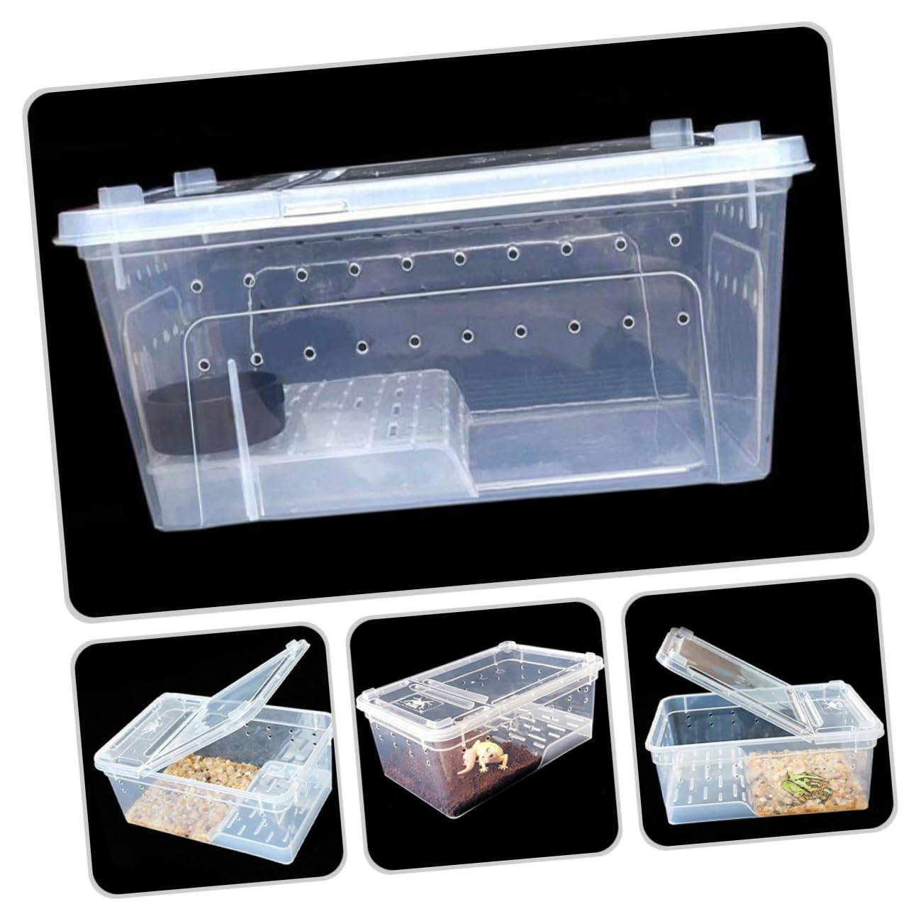 Levemolo Vasca Rettili Trasparente Grande con Rampa e Area Nuoto Terrario Tartarughe Multifunzione in Plastica Resistente e Facile da Pulire Habitat Anfibi con Zona Alimentazione e
