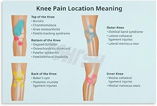 Knee Pain Location Chart Poster Physical Therapy Clinic Wall Art Canvas for Bedroom Living Room Decor 18x12inch(45x30cm) Unframe-style