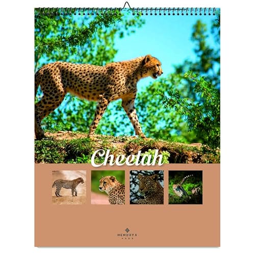 January 2027 - December 2027 Cheetah Wall Calendar 8.5x11 Monthly Wildlife Photography 12 Month Animal Calendar Stunning Nature Images Gift for Animal Lovers, Kids Adults