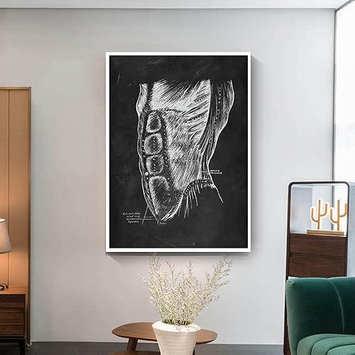 Miniatura 2 de Póster del sistema de músculos abdominales, anatomía humana, órganos de pared, arte de educación médica, cuadro de médico, oficina, gimnasio,
