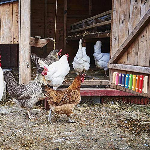 earlyad Huhn Xylophon Spielzeug 8 Schlüssel Huhn Hackspielzeug Hühnerstall Hackspielzeug Geeignet für Hühner Hühnerstall… – Bild 8