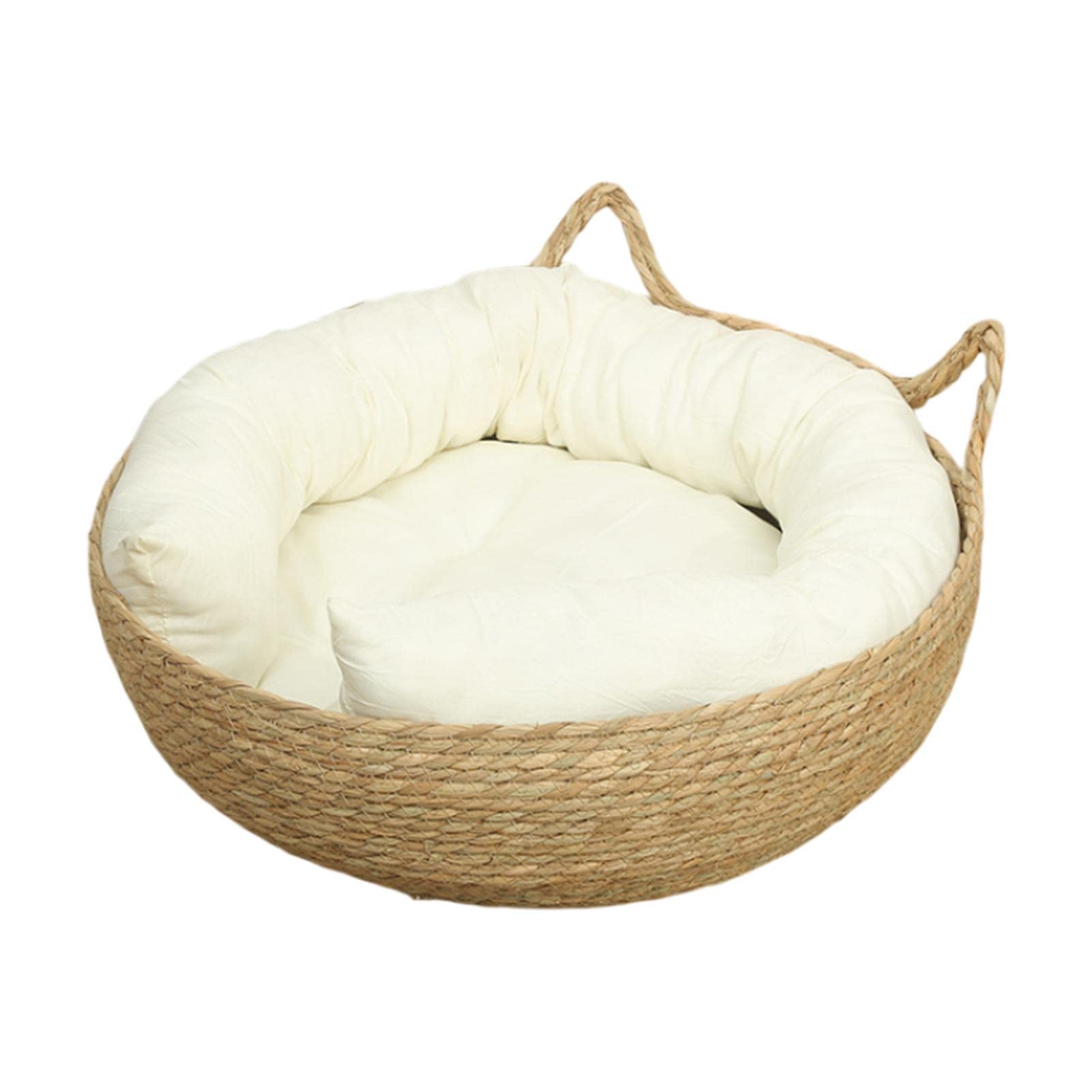 Nid d'intérieur pour petits chats avec un panier griffoir dans le salon