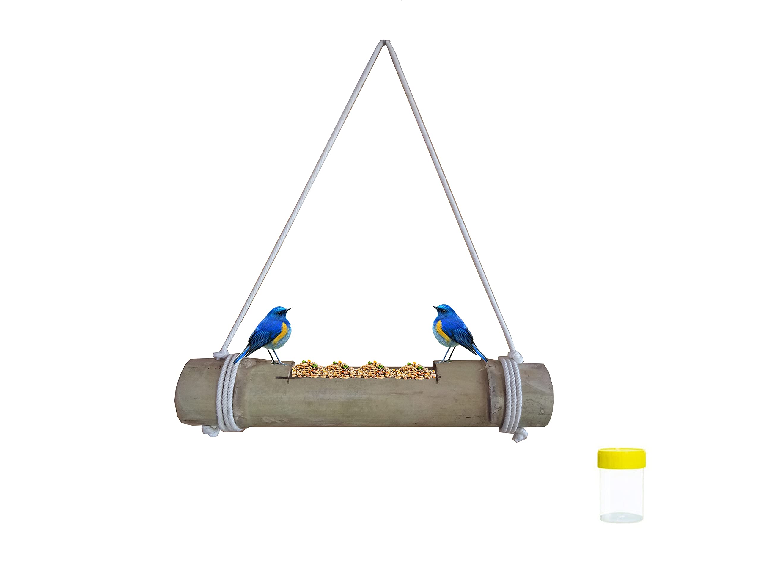 RAREPRODUCTS Bamboo Made Bird Feeder for Birds/Bird Supplies/Natural Made (Pack of 1) with Extra Small JAR (B0BPTFLL12) Amazon Price History, Amazon Price Tracker