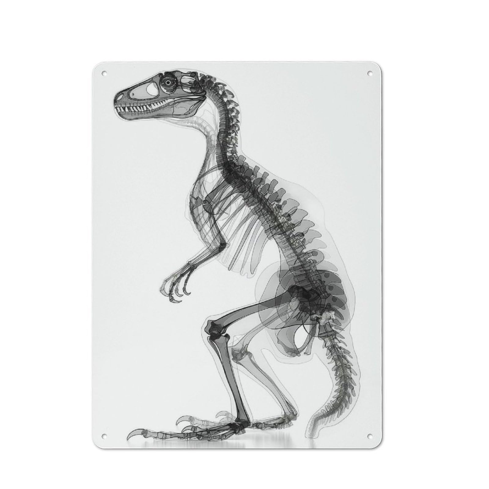 Junmoney Dinosaur In Xrays Metal Plaque 40X30cm With For Home Bar Wall, Retro Decor, For Garage, Workshop And Man Cave Decoration