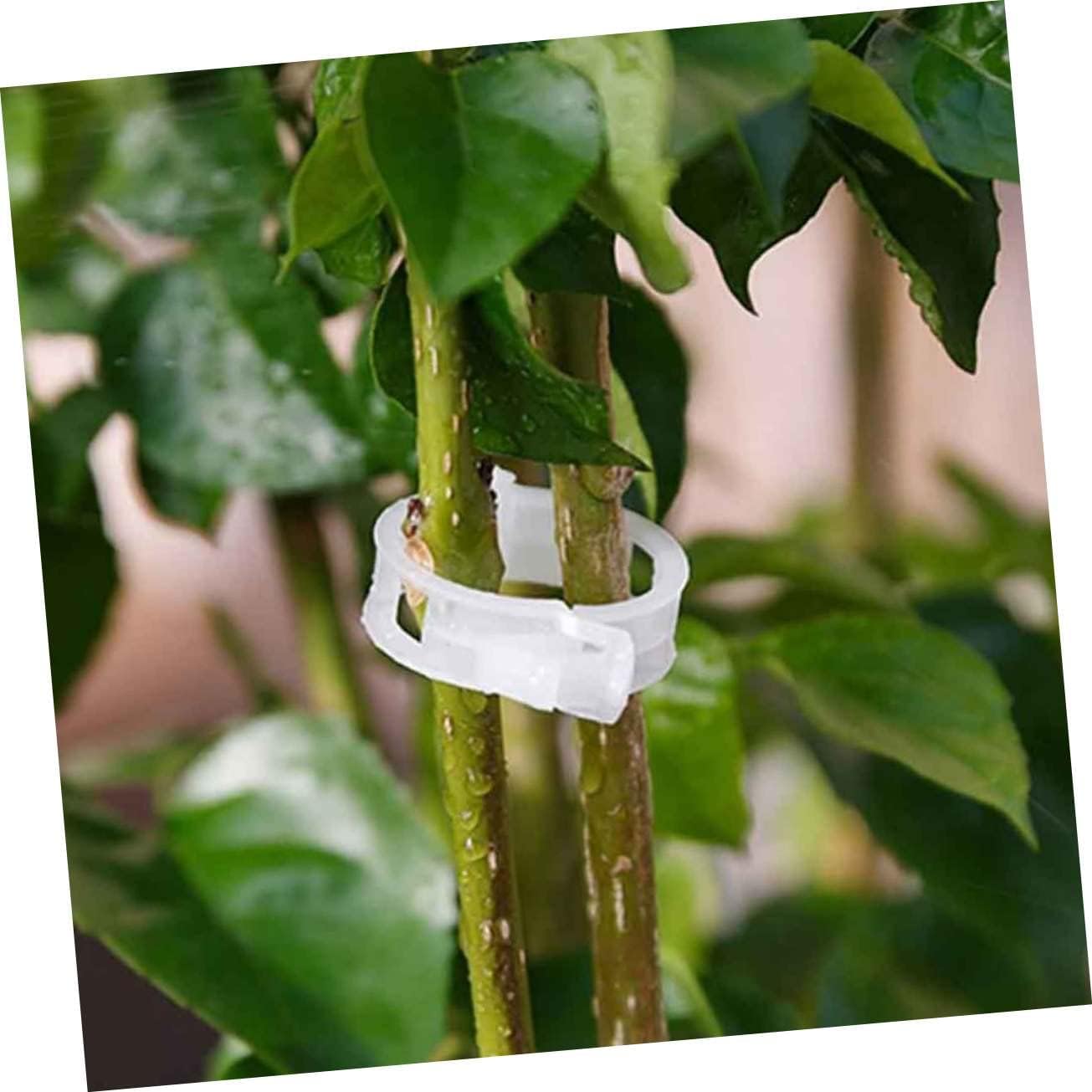 UPKOCH 450pcs Plant Vine Wall Clips for Flower Garden Support Grow Uprightly Healthily