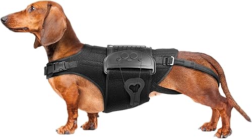 Soporte de espalda para perro para IVDD, artritis, discos deslizados y herniados - Proporciona apoyo para la espalda y alivio del dolor, estabiliza