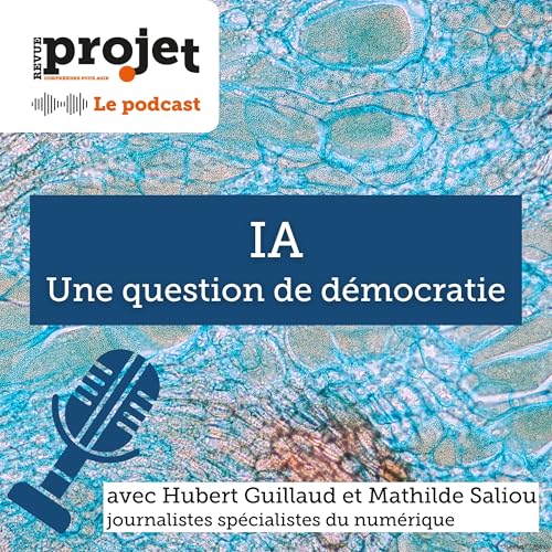 IA, une question de d&eacute;mocratie