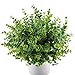 Produktbild MIHOUNION Künstliche Pflanzen Kunststoff Stäucher Kunststoff Pflanzen Simulation Pflanzen Eukalyptus für küche Garten Badezimmer Fensterbank Ornament Grün 4 STK