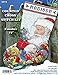 Santa with Kitten Counted Cross Stitch Stocking Kit
