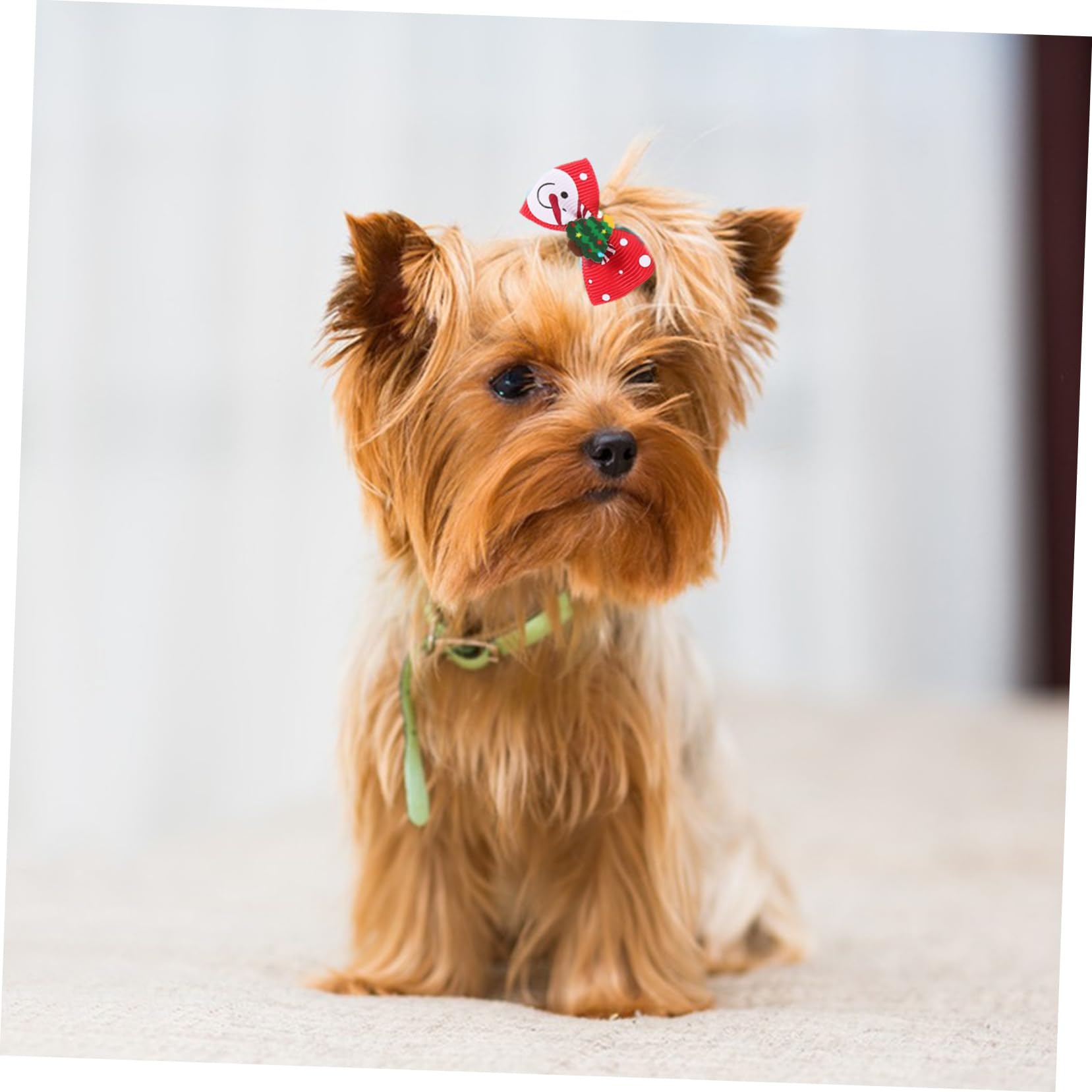 BESPORTBLE Fiocchi Cane 200 Pz Porta di Animali Domestici Ciuffo di Bowknot del Cucciolo per Animali Domestici Abito da Cane Cravatta per di Natale Cravatta per di Animali Domestici