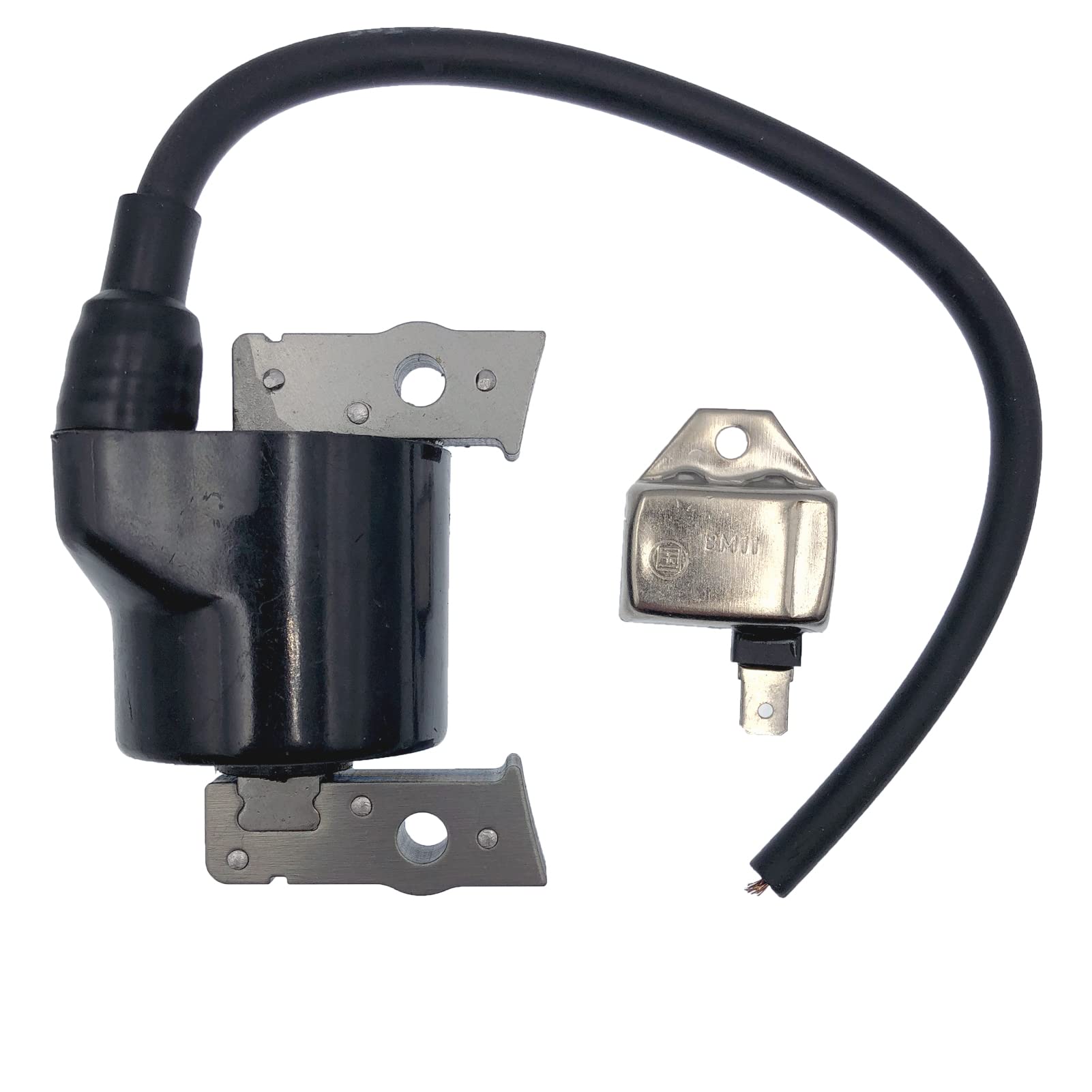 Ignition Coils 21121-2070 with 21119-2161 Igniter Module for