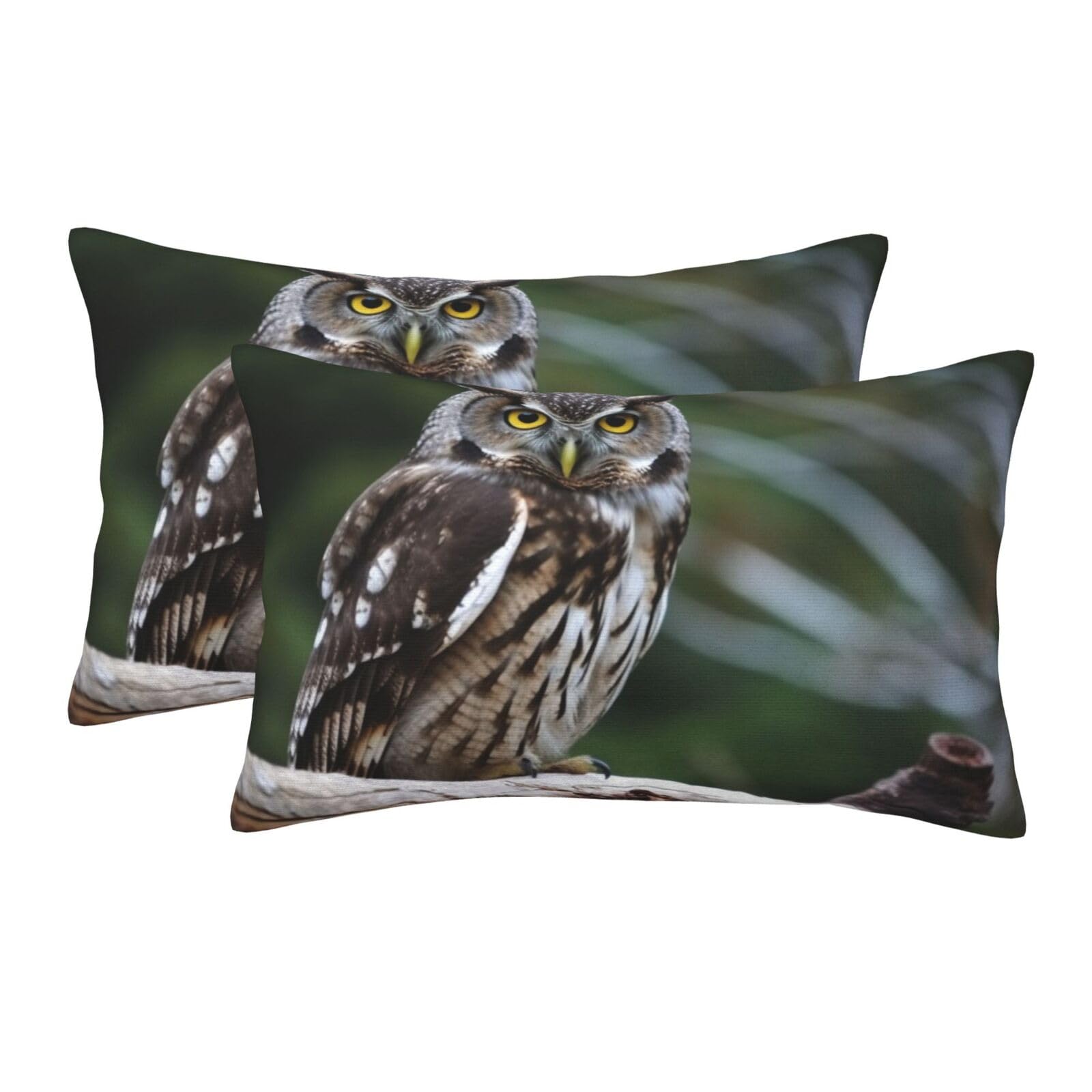 2 Pack Pillow Cases with Hidden Zipper, Soft Breathable Pillow Covers for Hair and Skin, Wild Owl Birds Pillowcases 20"x30" Bed Pillow Protectors Cover for Sleeping Gifts