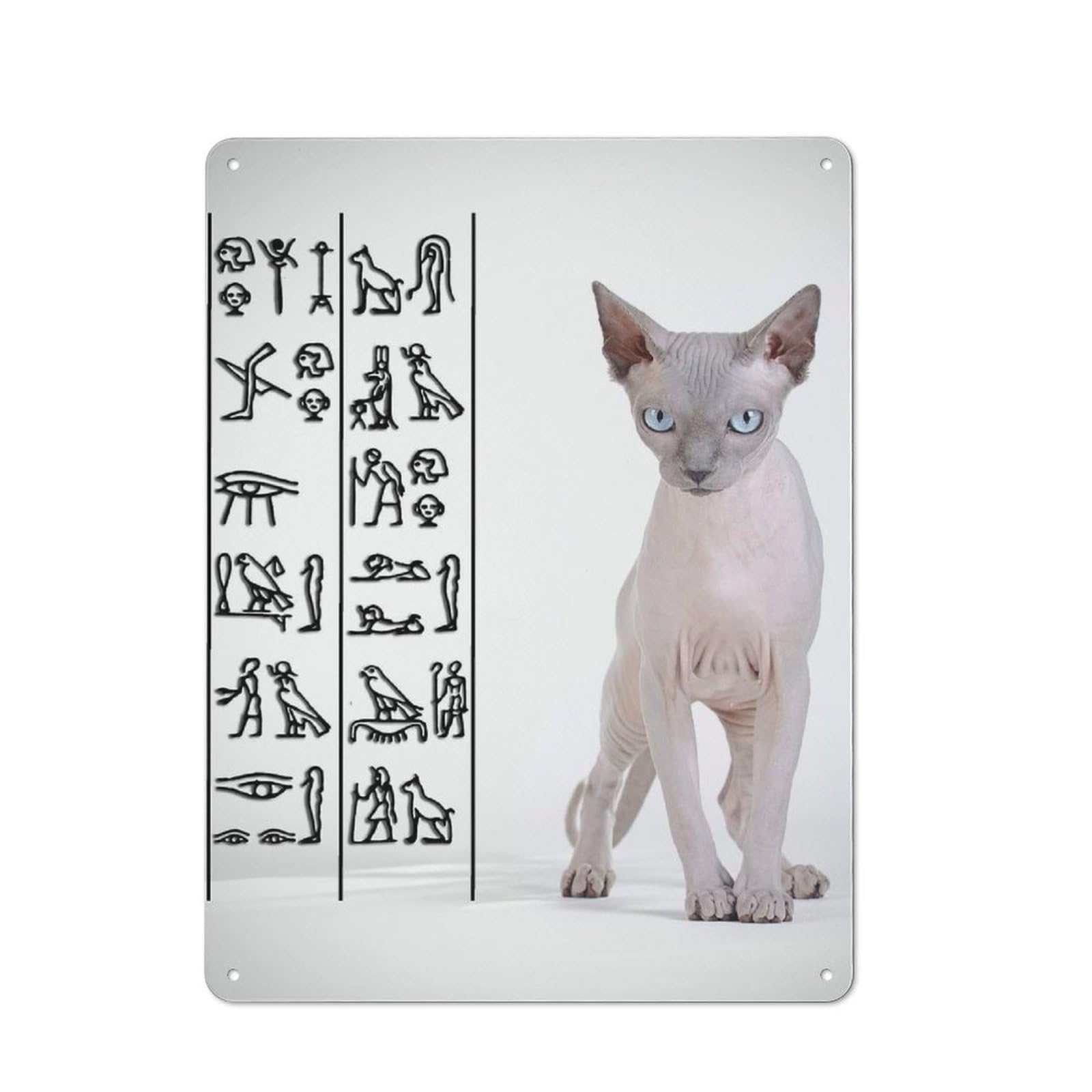 Junmoney Style-1 Canadian Sphynx Cat Vintage Metal Wall Sign 40X30cm For Garage Wall, Suited To Garage Decor Collectors